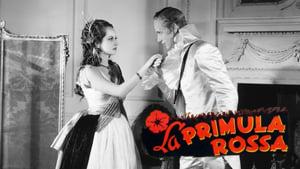 The Scarlet Pimpernel