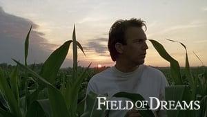 Field of Dreams