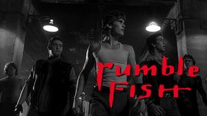 Rumble Fish