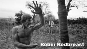 Robin Redbreast