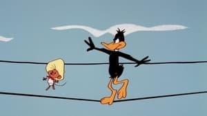 Daffy Rents