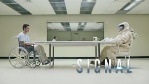 The Signal