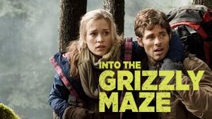 Into the Grizzly Maze