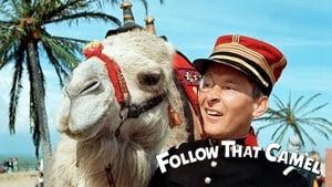 Follow That Camel