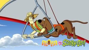 Aloha Scooby-Doo!