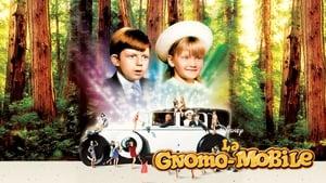 The Gnome-Mobile