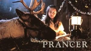Prancer
