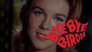 Bye Bye Birdie