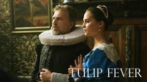 Tulip Fever