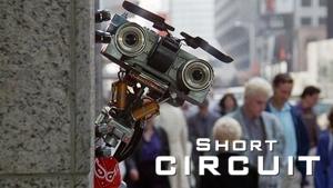 Short Circuit