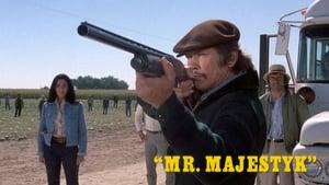 Mr. Majestyk