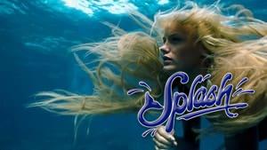 Splash