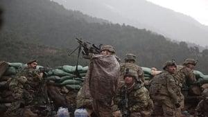 The Hornet's Nest