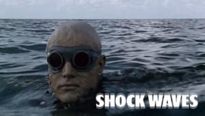 Shock Waves