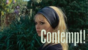Contempt