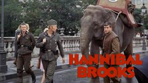 Hannibal Brooks