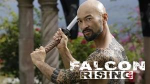Falcon Rising