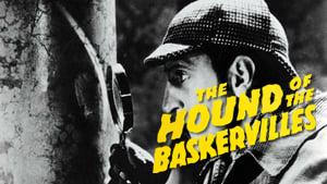 The Hound of the Baskervilles