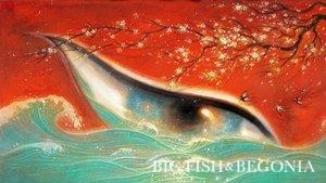Big Fish & Begonia