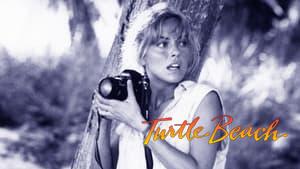 Turtle Beach