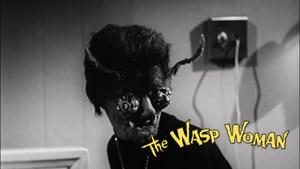 The Wasp Woman