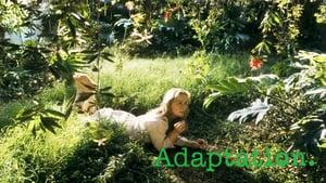 Adaptation.