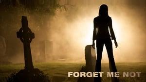 Forget Me Not
