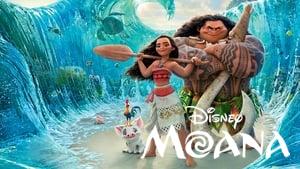 Moana