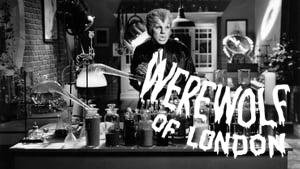 Werewolf of London