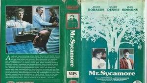 Mr. Sycamore