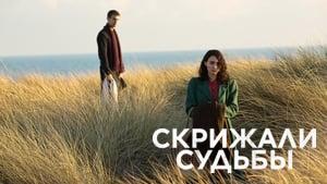 The Secret Scripture