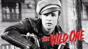 The Wild One