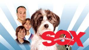 Sox: A Family's Best Friend