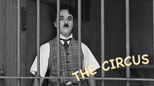 The Circus