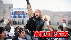 Wildcats