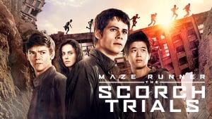 Maze Runner: The Scorch Trials