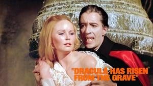 Dracula Has Risen from the Grave