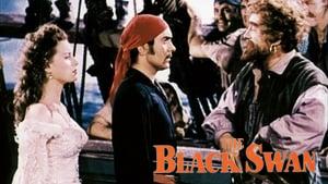 The Black Swan