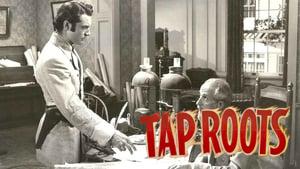 Tap Roots