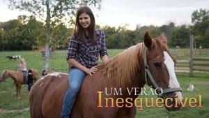 Horse Camp