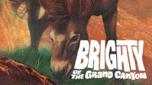 Brighty of the Grand Canyon
