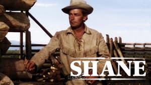 Shane