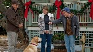 A Dog Named Christmas