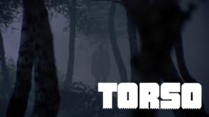 Torso
