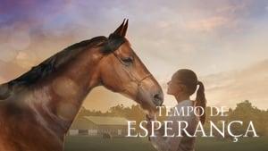 A Horse Tale
