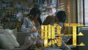 The Gigolo