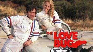 The Love Bug