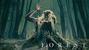 The Forest