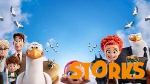 Storks