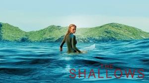 The Shallows